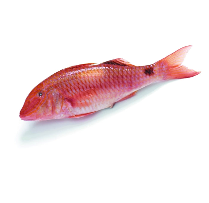 Red Mullet