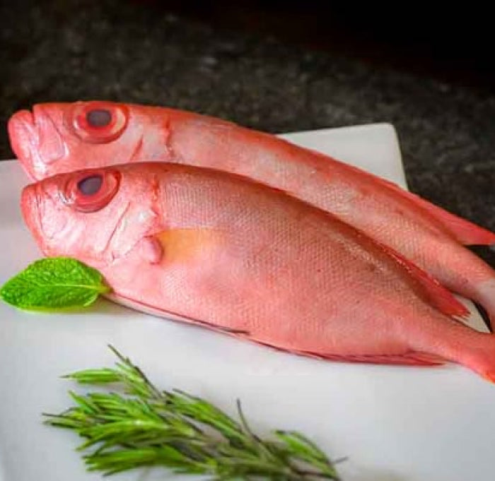Red Snapper (small)