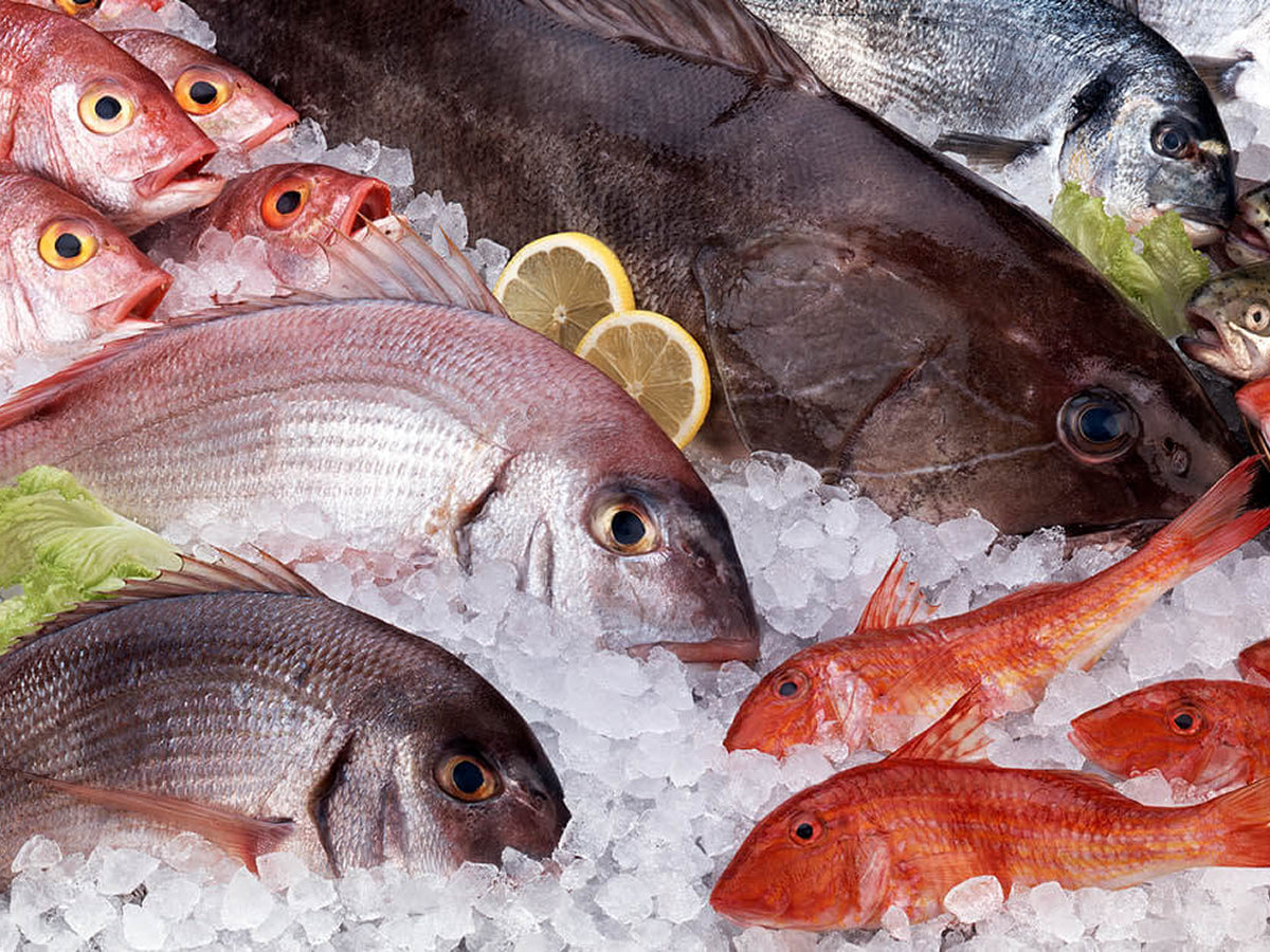 Fresh Fish