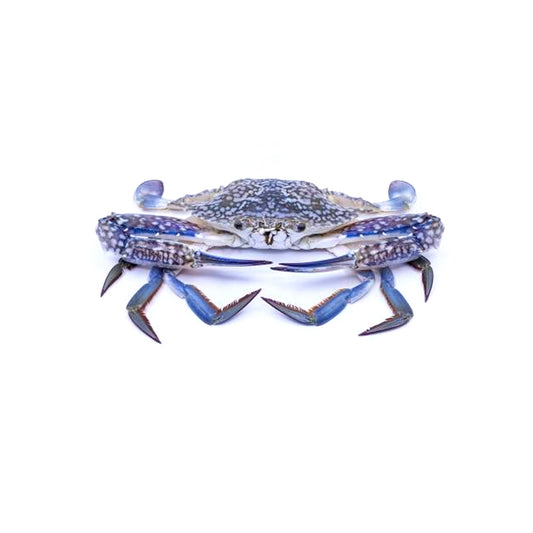 Crab Blue