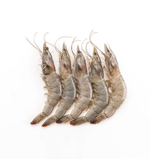 Big Prawns