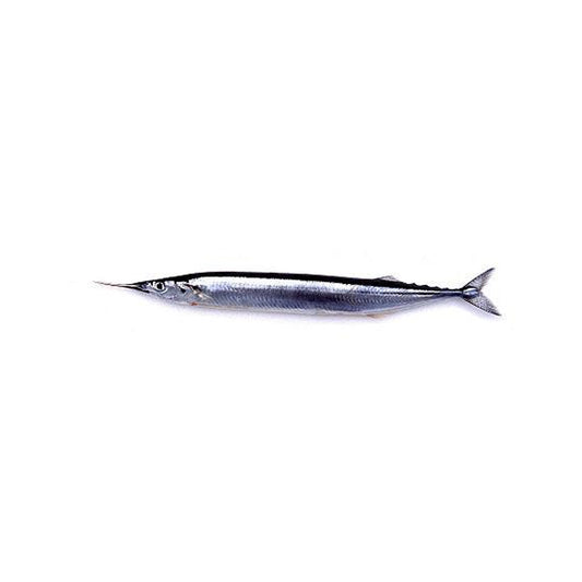 Halfbeak