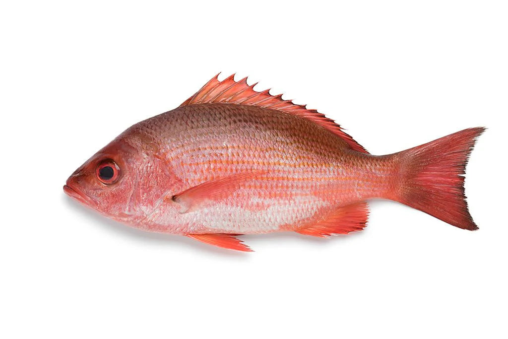 Pinjalo (large)