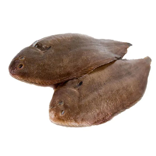 Sole Fish